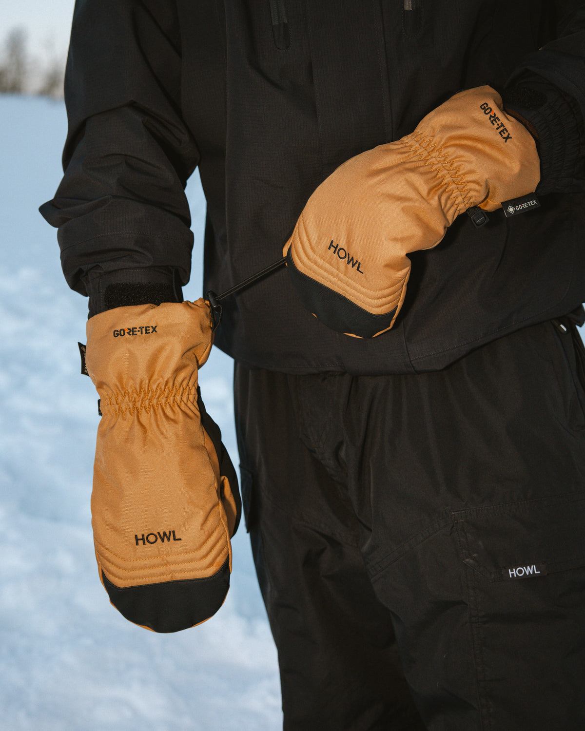 TEAM GORE-TEX® MITT