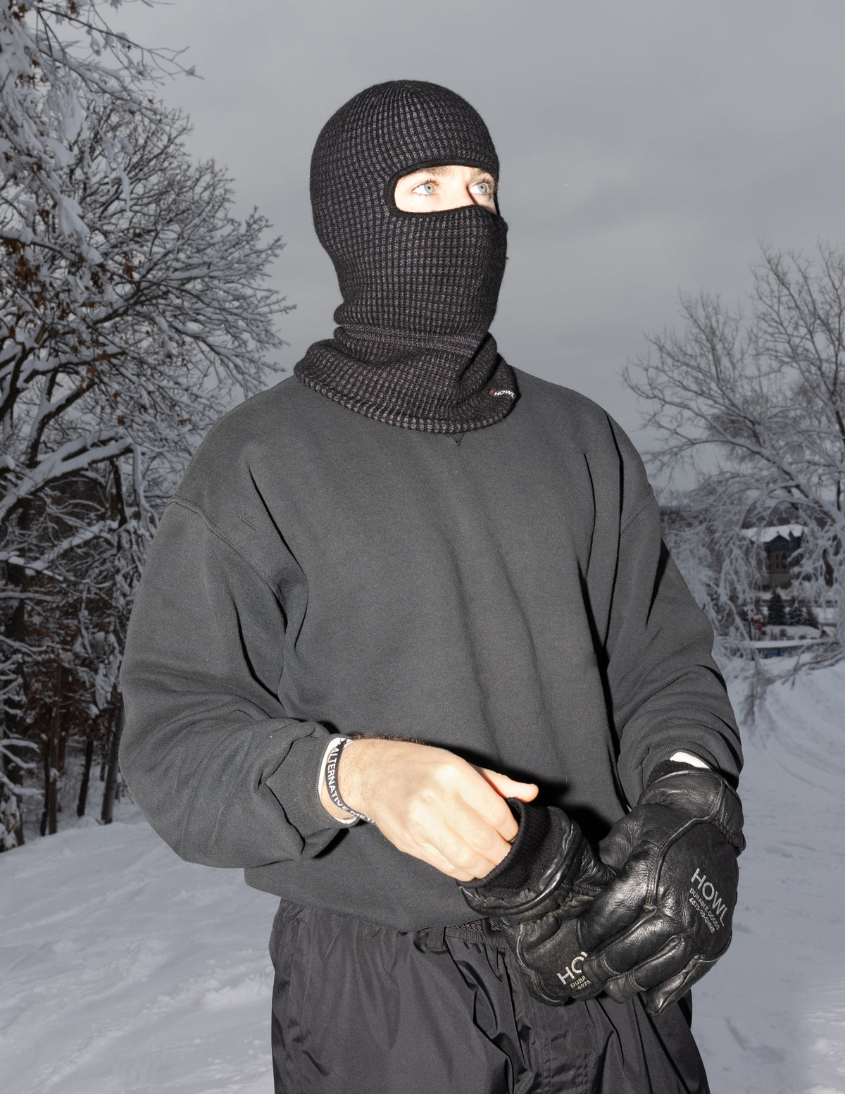 BURGLAR FACEMASK