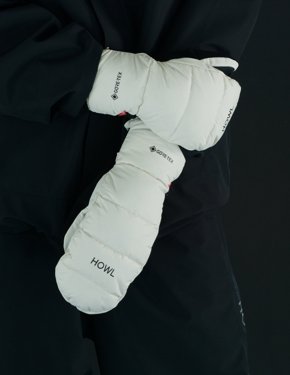 DOWN GORE-TEX® MITT